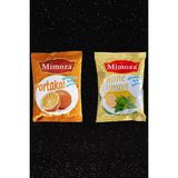 Mentollü Nane Limon ve Portakal Oraleti Sıcak İçecek Kış ve Meyve Çayı Kafe İçecekleri 2 Adet 500GR. - 250 gr