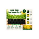 Mera Çiçekçilik Sarı Sivri Biber Fidesi 10 Adet