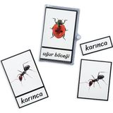Meraklı Zebra Üç Parçalı Eşleştirme Kartları - Böcekler Seti
