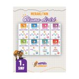 Meraklı Zihinler 1.sınıf Meraklı'nın Okuma Dizisi Set (8 Hıkâye)