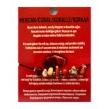 Mercan İpli Bİleklik mercanipli