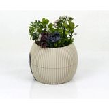 Mercan Saksı 11.5X12 cm 0.70 Lt - Renkli