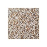 Mercanpetstore Ak Darı Sade Kuş Yemi 5 Kg Muhabbet Kuşu Hint Bülbülü Papağan Yemi