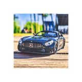 MERCEDES Amg Gtr Koleksiyon Metal Araba 12cm Lüks Araba Siyah