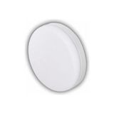 Mercora Tech 1 Adet Cata Ct 5664 Sıva Üstü 40W LED Spot 3200K Gün Işığı - Altın