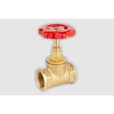Mergen Topsan 1''lik Stop Vana Pirinç(Clz)
