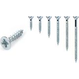 Meridyen 4x20 mm 50 Adet Sunta Vidası