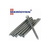Meridyen Buldex Vida Dübelsiz Vidası 7,50x120mm (10 ADET) Vida