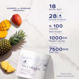 Mermaid Mıx Collagen | 1000 Da Mw, Yüksek Biyoetkinlik, Premium Balık (Marine) Kolajen, Hyalüronik Asit, Biotin, C Vitamini, Bakır, Çinko ile Zenginleştirilmiş Formül. Mango Ananas Aromalı 4 Hafta