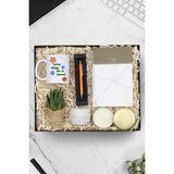 Mermer Desen Defter & Kupa & Canlı Sukulent Çiçek & Tükenmez Kalem & Metal Kutulu Mum Hediye Seti - Çok Renkli - Standart - Genel