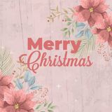 Merry Christmas: Coloring book for adults