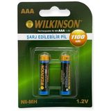 Mersa Wilkinson Şarjlı Ince 1100 Mah Aaa 2'li Pil