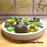 Merz Design Decor Dekoratif Büyük Tabakta Teraryum Sukulent Kaktüs Bahçesi %100 Doğal Vegan Soya Mum - Çok Renkli