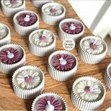 Merz Design Decor Dekoratif Hediyelik El Yapımı Beton Saksıda %100 Doğal Vegan Soya Wax Papatya Mum - Pembe