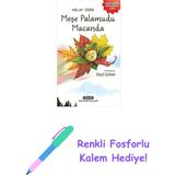 Meşe Palamudu Macanda + Renkli Fosforlu Kalem