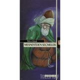 MESNEVI'DEN SEÇMELER - MEVLÂNÂ CELÂLEDDÎN-I RÛMÎ (ISBN:9786050201413)