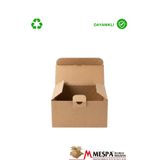MEŞPA AMBALAJ 22,2 X 12,5 X 14,5 cm 100 Adet Kendinden Kilitli E-Ticaret Karton Kargo Kutusu Paketleme Gönderim Kutusu