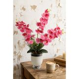 Metal Beyaz-Gümüş Saksıda Yapay Orkide Tanzimi 75 Cm Javanica Pembe