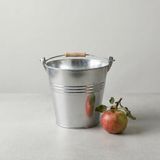 Metal Dekoratif Kova 5 Litre - 20 cm Çok Amaçlı Saplı Galvaniz Saksılık ve Düzenleyici (Galvaniz)