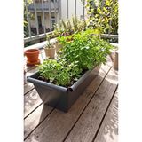 Metal Dikdörtgen Balkon Saksılığı - 53 cm Paslanmaz Galvaniz Dekoratif Yatay Çiçeklik (Antras - Çok Renkli