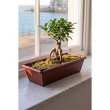 Metal Dikdörtgen Balkon Saksılığı - 53 cm Paslanmaz Galvaniz Dekoratif Yatay Çiçeklik (Kiremit)