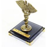 Metal Kadüse Antik Krom Kaplamalı (Caduceus) Tıp Sembolü - Doktorlar, Hemşireler, Fizik Tedavi Uzmanları, Eczacılar, Psikologlar/psikiyatristler, Veterinerler Için Tıbbi Dekoratif Obje ve Hediye - Gold