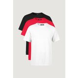 METALIC Erkek Çok Renkli T- Shirt Regular Fit Rahat Kesim Bisiklet Yaka 3'lü Basic Tişört Paketi
