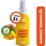 Metapet Doğal Köpek Parfümü Mango Ferahlığı, Organik Koku Sprey, Evcil Hayvanlar Kokusu Için 150 ml