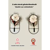 MetaQuartz Aksesuar 2 Li SİYAH Oval Çiçeklik , Modern Dekoratif Metal Duvar Çiçeklik