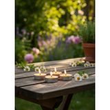 Mete Mum Papatya Aromalı Tealight Mum 8’li Set – Uzun Süreli Yanma, Dekoratif ve Ortam Kokulu Mum