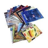 Meteksan Seren A-4 Dikişli Defter Plastik Kapak Çizgili 100-1