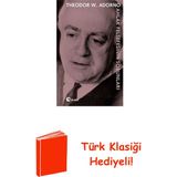 Metis Yayınları Ahlak Felsefesinin Sorunları + Türk Klasiği Hediye
