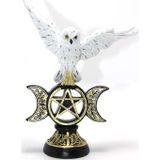 Mevafa Polyester Baykuş Biblo