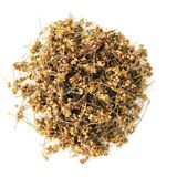 Mevlana Bazaar Ihlamur Çay 1 kg