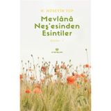 Mevlana Neş'esinden Esintiler- H. Hüseyin Top