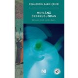 Mevlana Okyanusundan