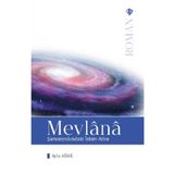 Mevlana Samanyolundaki islam Atlısı - Türkiye Diyanet Vakfı Yayınları