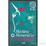 MEVLÂNA MESNEVISI´NIN EVRENSELLİĞİ - ERKAN TÜRKMEN