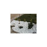 Mey İthalat 50 kg Beyaz Dolomit Bahçe Taşı, 2,5-4 cm Dekoratif Kullanım Için - 10 x 10 cm - Çok Renkli