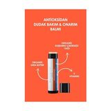 Mey İthalat Antioksidan Dudak Bakım & Onarım Balmı | Nemlendirici, Besleyici, Koruyucu | Organik | 5 ml Stick - Çok Renkli