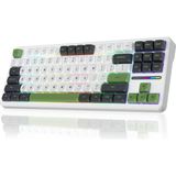 Mey İthalat Aula F87 Mekanik Rgb Tkl Graywood V3 Switch Kablosuz Makrolu Hot Swap Klavye Yeşil