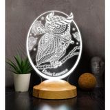 Mey İthalat Baykuş Tasarımlı Kişiye Özel 3D LED Gece Lambası – Dekoratif Lamba, Baykuş Severlere Masa Lambası, Hayvan Temalı Işıklı Hediye