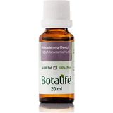 Mey İthalat Botalife Makademya Cevizi Yağı 20 ml