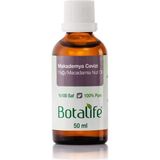 Mey İthalat Botalife Makademya Cevizi Yağı 50 ml