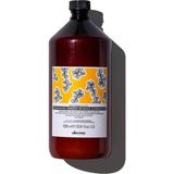Mey İthalat Davines Nourishing Keratin Wonder Superactive Hasarlı Saçlar Için Onarıcı Bakım, 1000 ml