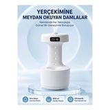 Mey İthalat Dekoratif Hava Nemlendirici 800 ml Sessiz Aroma Difüzör Anti Yerçekimi Su Efektli