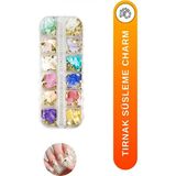 Mey İthalat Fontenay Tırnak Charm Tırnak Süsleme Seti, Nail Art Charms, Protez Tırnak Süsleme Objeleri, Renkli