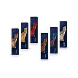 Mey İthalat Koleston Perfect Me+ 10/97 Çok Açık Sarı Cendre Kahve 60 ml