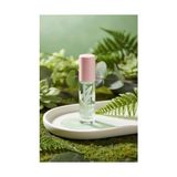 Mey İthalat Lisanslı Minimalist Serisi Dudak Yağı No 02 Elma Yeşili - Yoğun Nemlendirici ve Ferahlatıcı Parlak Lip Oil, 2017420414100 - Çok Renkli