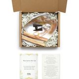 Mey İthalat Palo Santo Mini Set - Incili Deniz Kabuğu - Palo Santo Tütsü - Tütsülük - Meditasyon - Pozitif Enerji